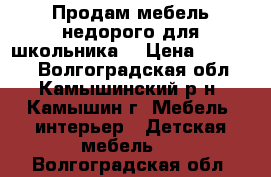 Продам мебель недорого для школьника  › Цена ­ 10 000 - Волгоградская обл., Камышинский р-н, Камышин г. Мебель, интерьер » Детская мебель   . Волгоградская обл.